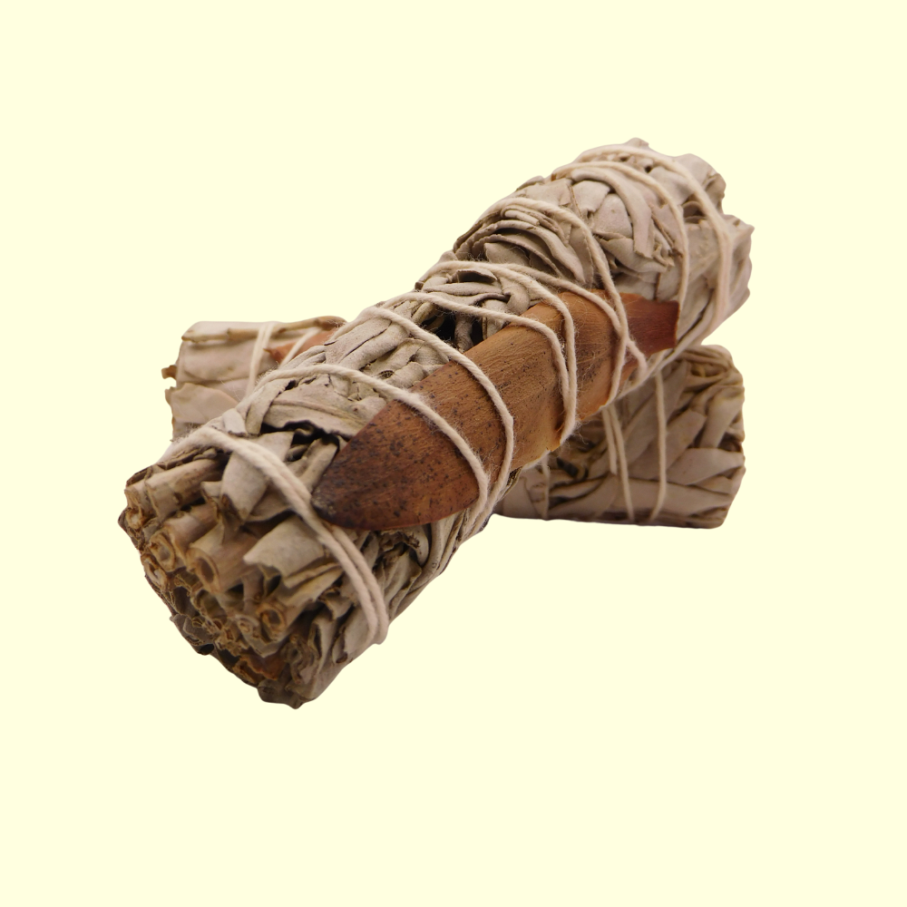 Fagot de sauge et fleur de safari