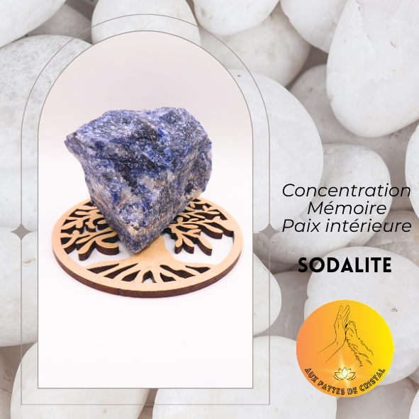 Pierre brute - Sodalite