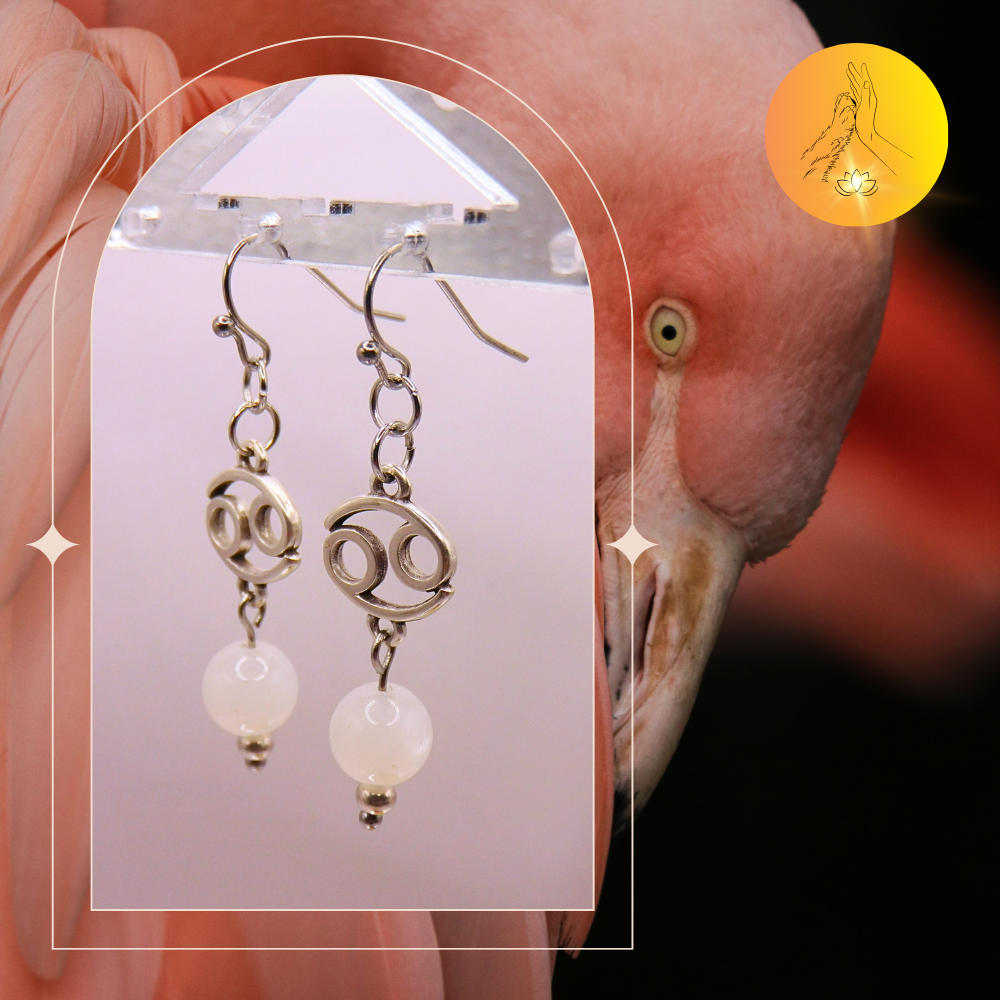 Boucles d'oreilles - Signe astro Cancer - Pierre de lune