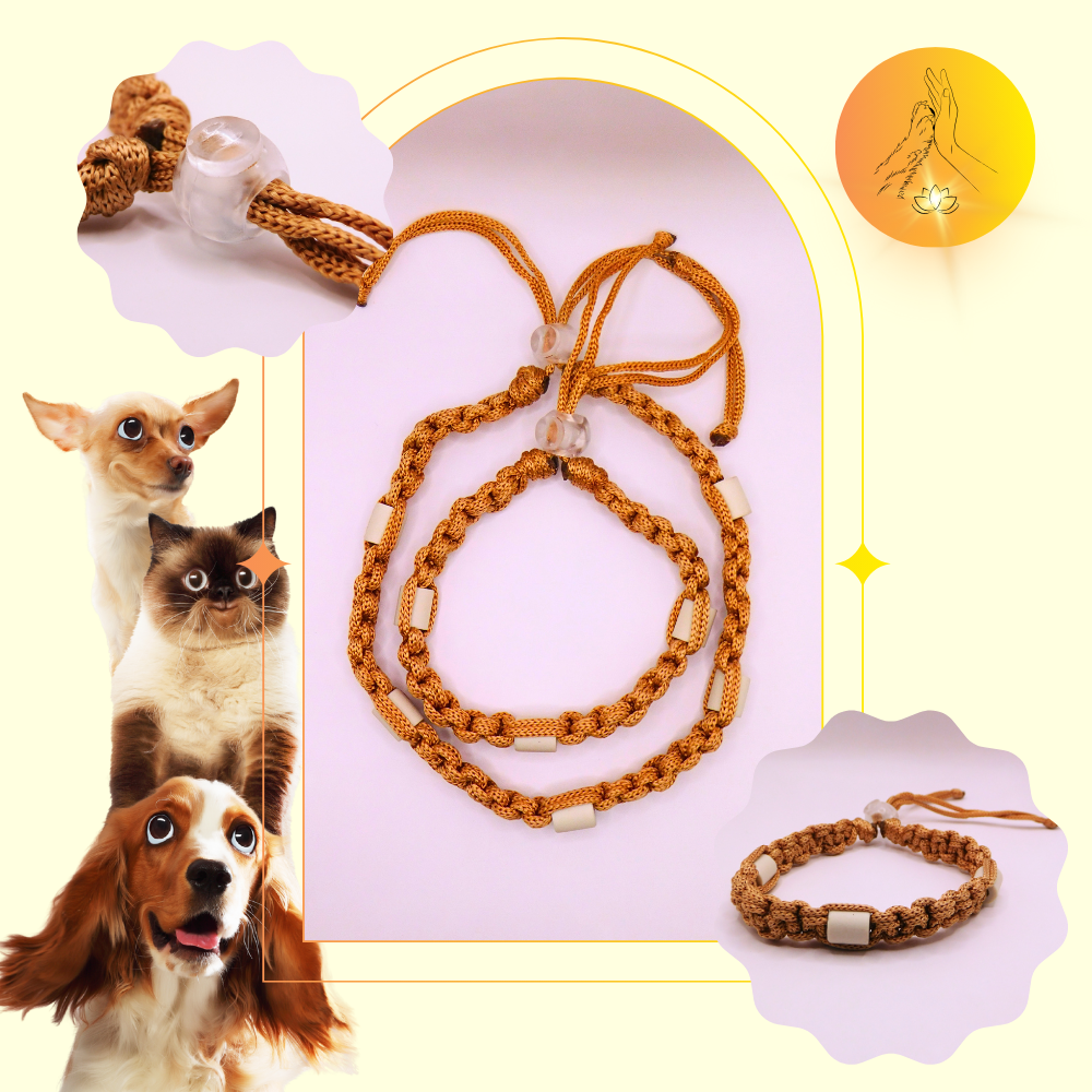 Colliers anti-puces - fil caramel