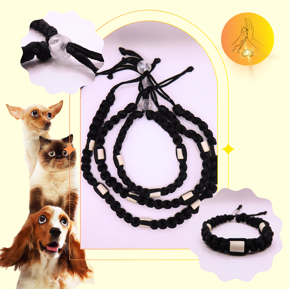 Colliers anti-puces - fil noir
