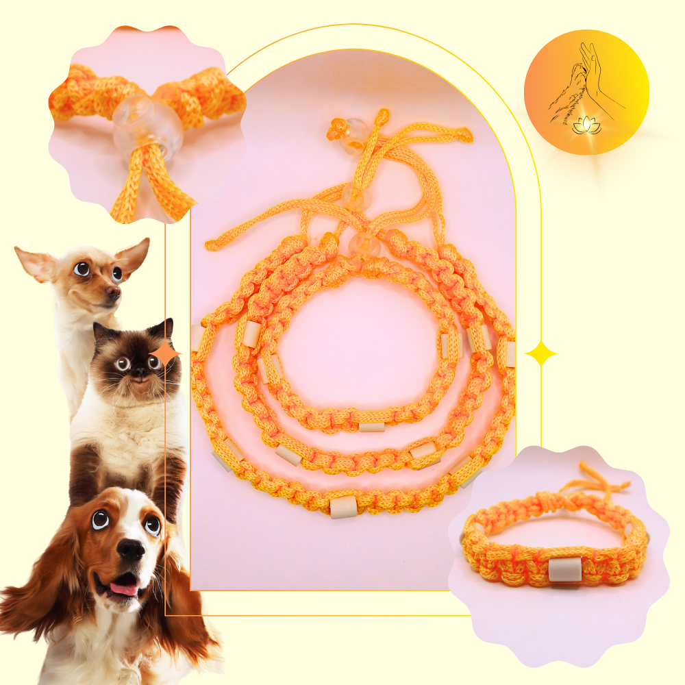 Colliers anti-puces - fil orange