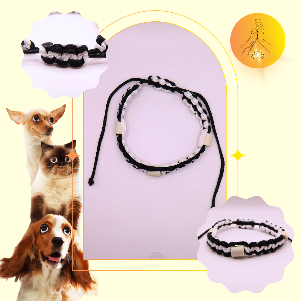 Colliers anti-puces - fils noir et blanc