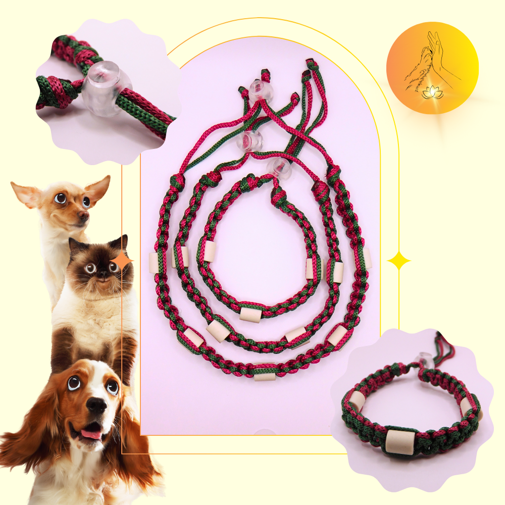 Colliers anti-puces - fils vert sapin et lie de vin