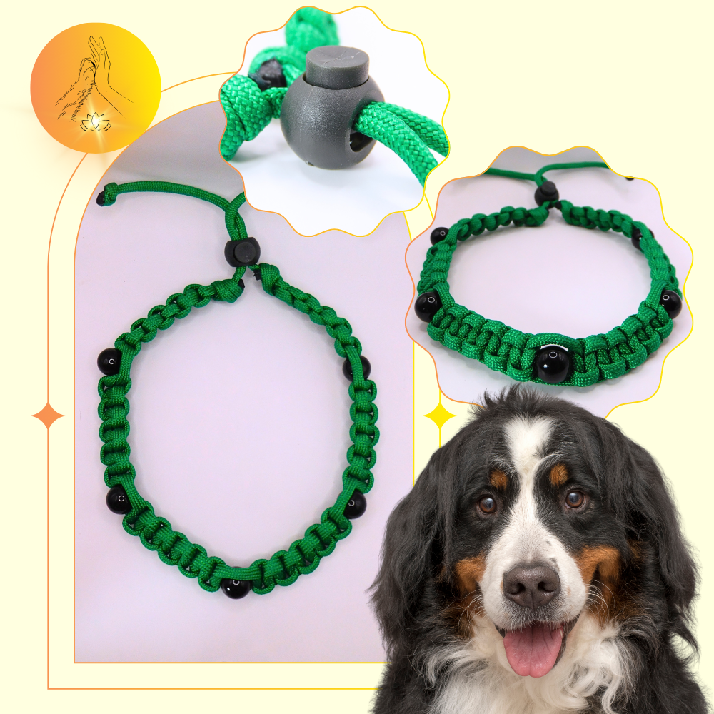 Colliers thérapeutiques - Obsidienne oeil céleste - Grandes tailles