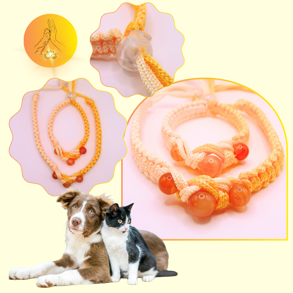 Colliers thérapeutiques - Cornaline multicolore - Infini