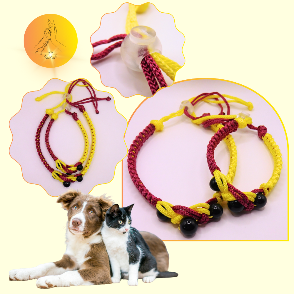 Colliers thérapeutiques - Obsidienne oeil céleste - Infini