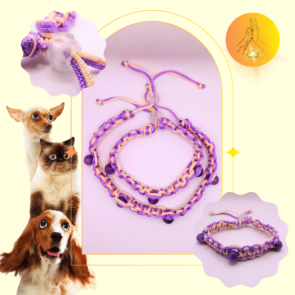 Colliers thérapeutiques - Améthyste - Spirales