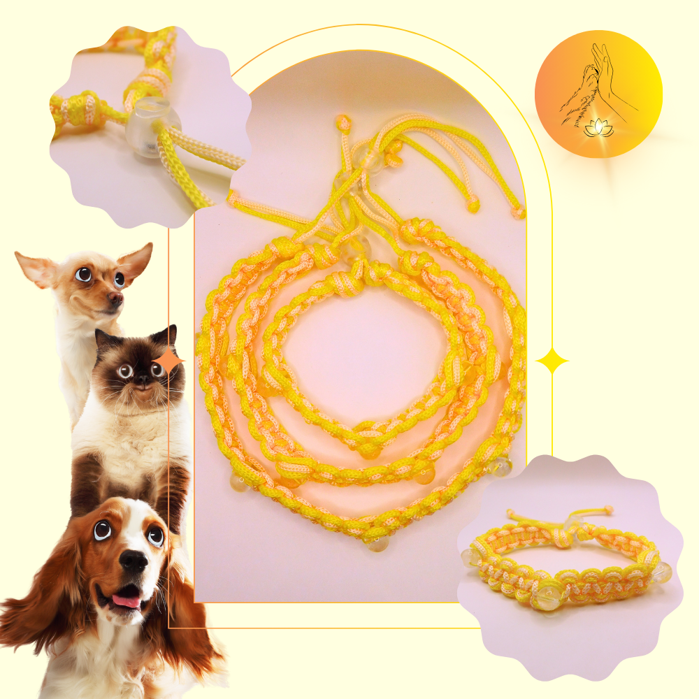 Colliers thérapeutiques - Cristal de roche - Spirales