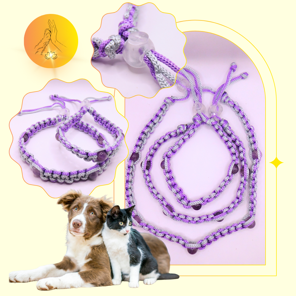 Colliers thérapeutiques - Améthyste - Standard