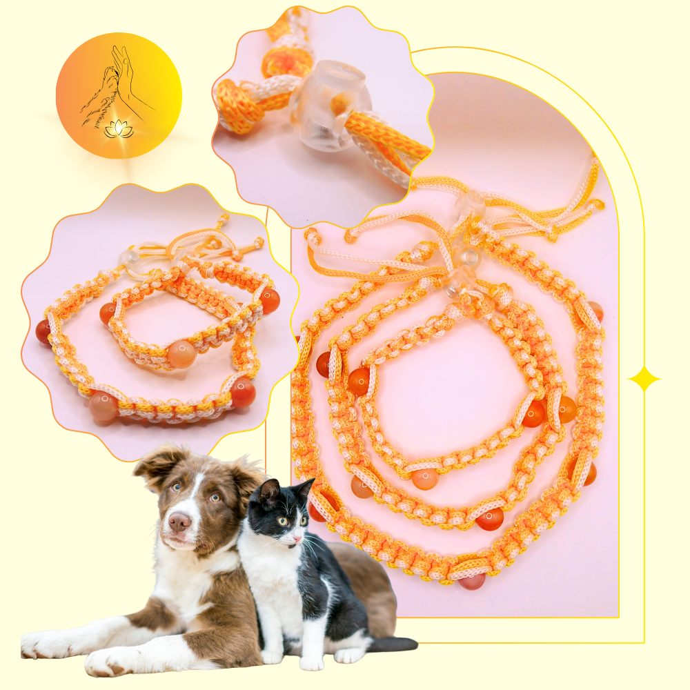 Colliers thérapeutiques - Cornaline multicolore - Standard