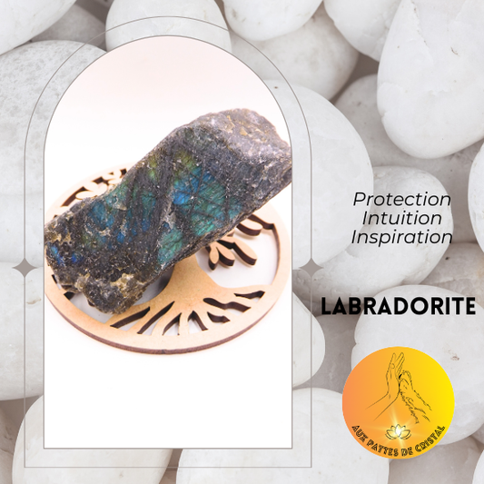 Pierre brute - Labradorite