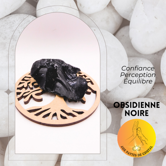Pierre brute - Obsidienne noire