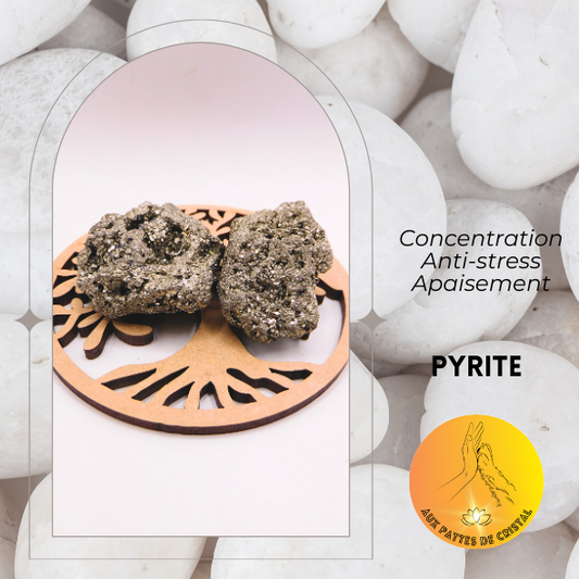 Pierre brute - Pyrite