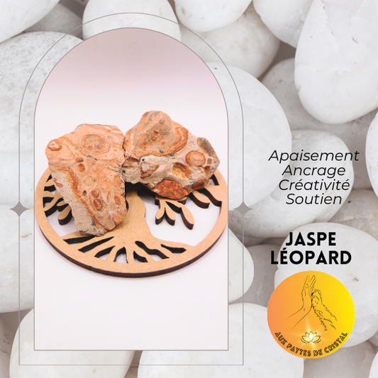 Pierre brute - Jaspe léopard