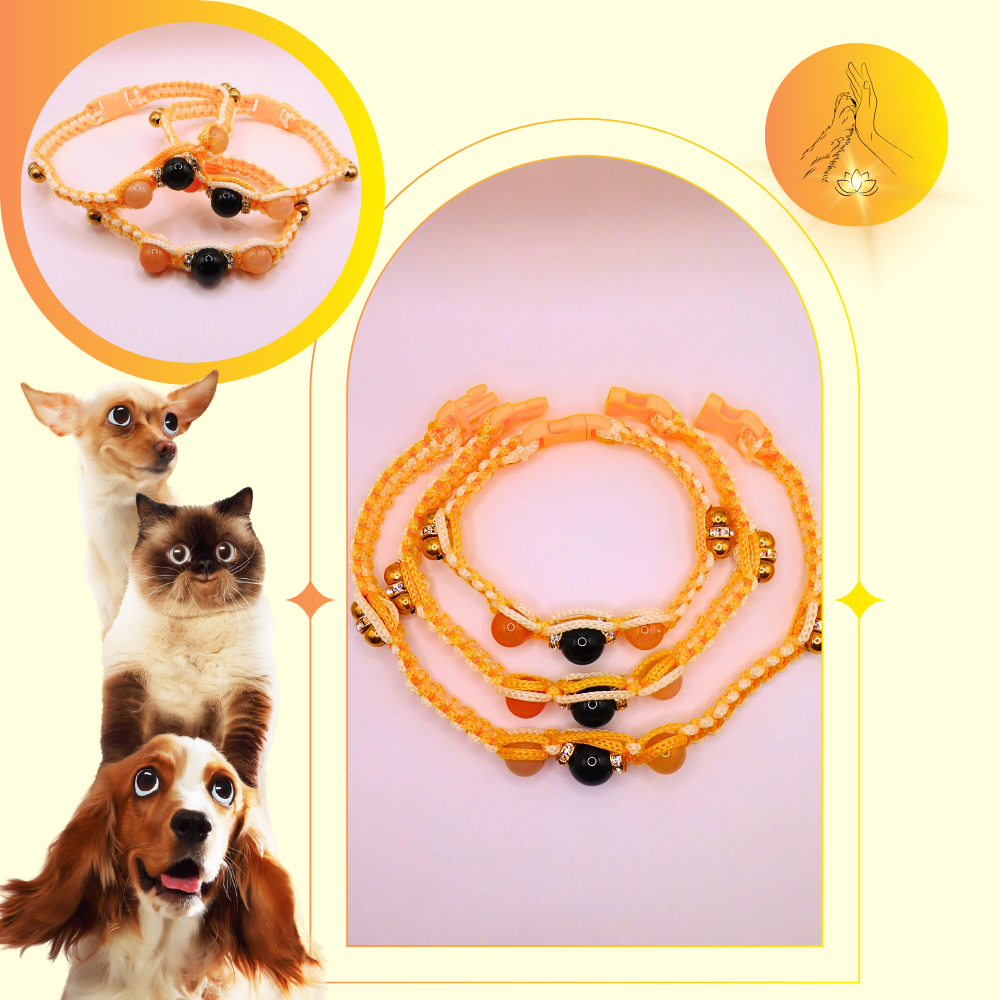 Colliers thérapeutiques - Cornaline multicolore & obsidienne oeil céleste - Chic