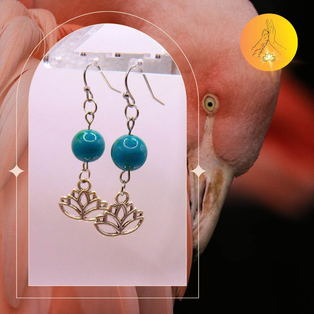 Boucles d'oreilles - Chrysocolle teintée