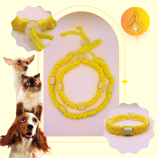 Colliers anti-puces - fil jaune