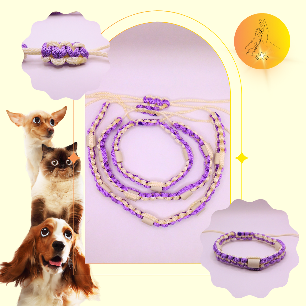 Colliers anti-puces - fils blanc et mauve