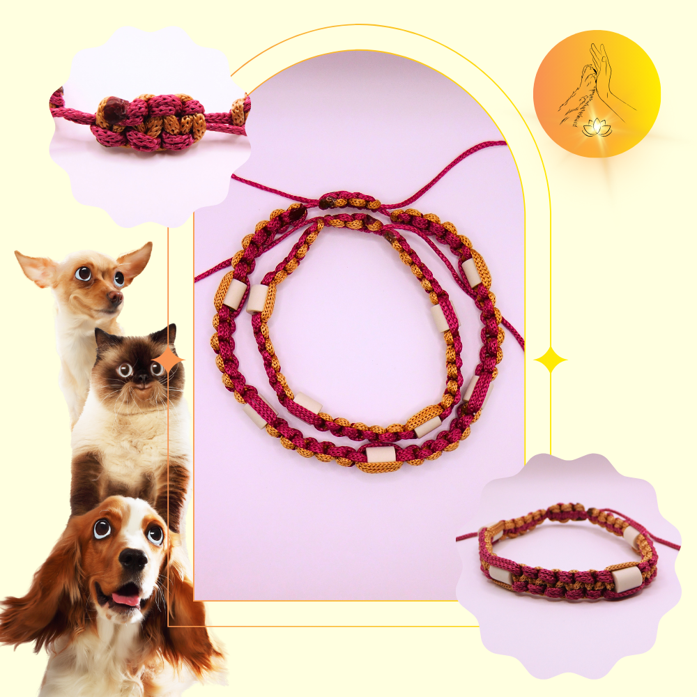 Colliers anti-puces - fils caramel et lie de vin