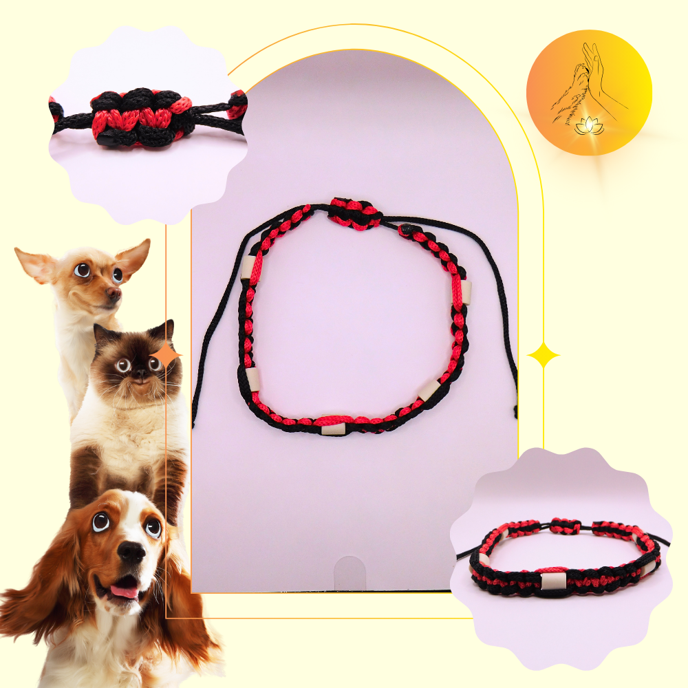 Colliers anti-puces - fils noir et rouge