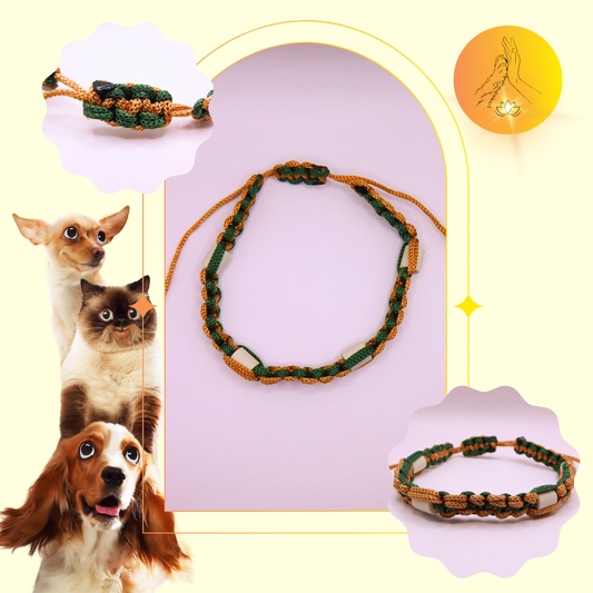 Colliers anti-puces - fils vert sapin et caramel