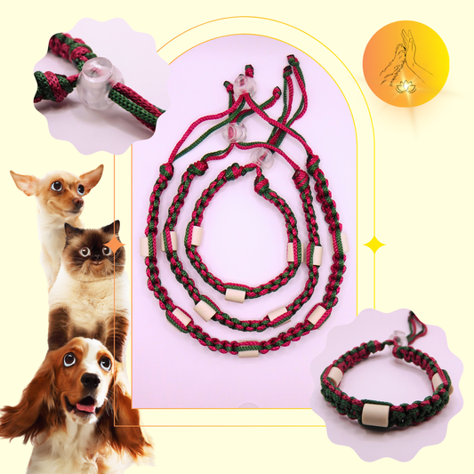 Colliers anti-puces - fils vert sapin et lie de vin