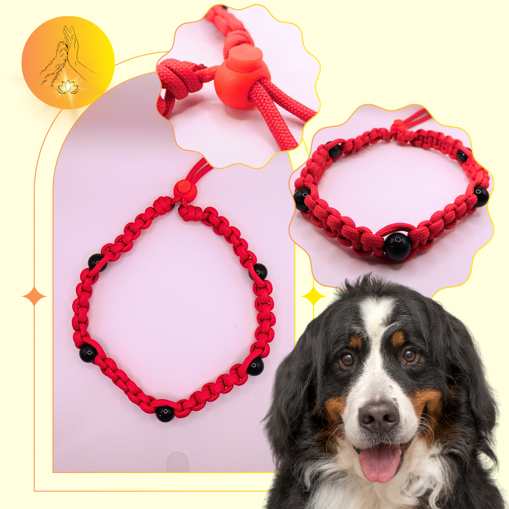 Colliers thérapeutiques - Obsidienne oeil céleste - Grandes tailles