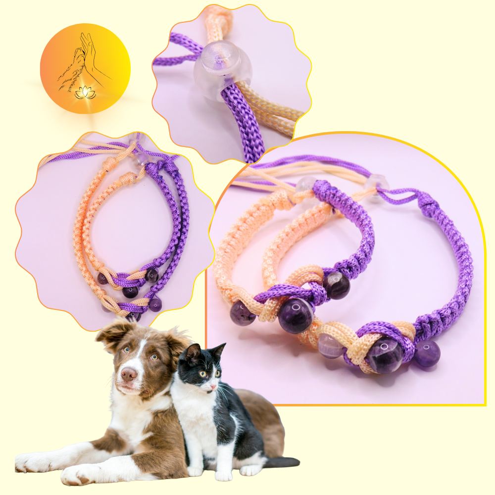 Colliers thérapeutiques - Améthyste chevron - Infini