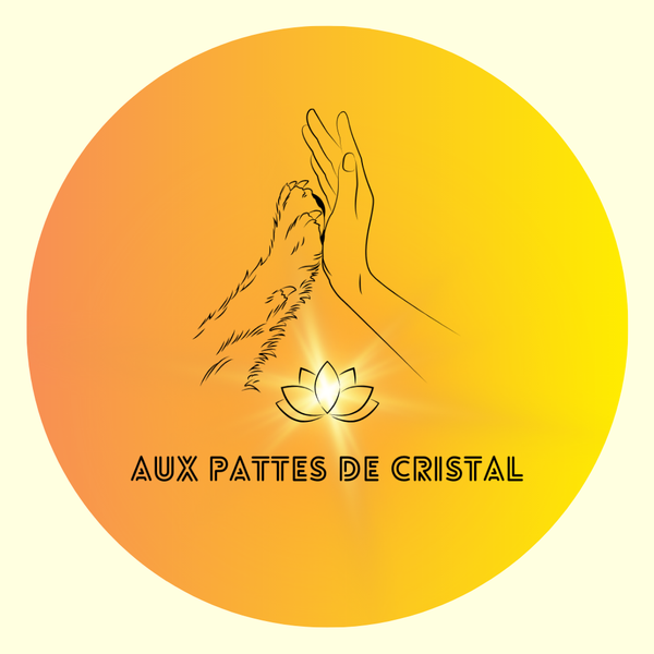 Aux Pattes de Cristal