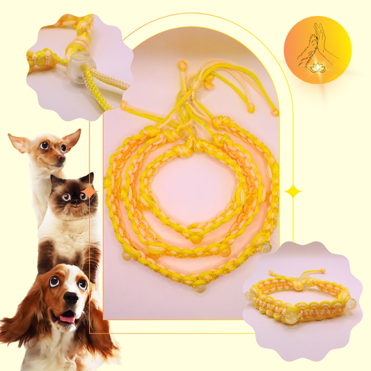 Colliers thérapeutiques - Cristal de roche - Spirales