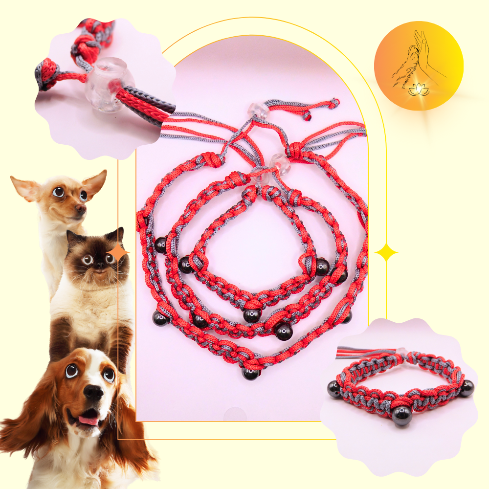 Colliers thérapeutiques - Hématite - Spirales