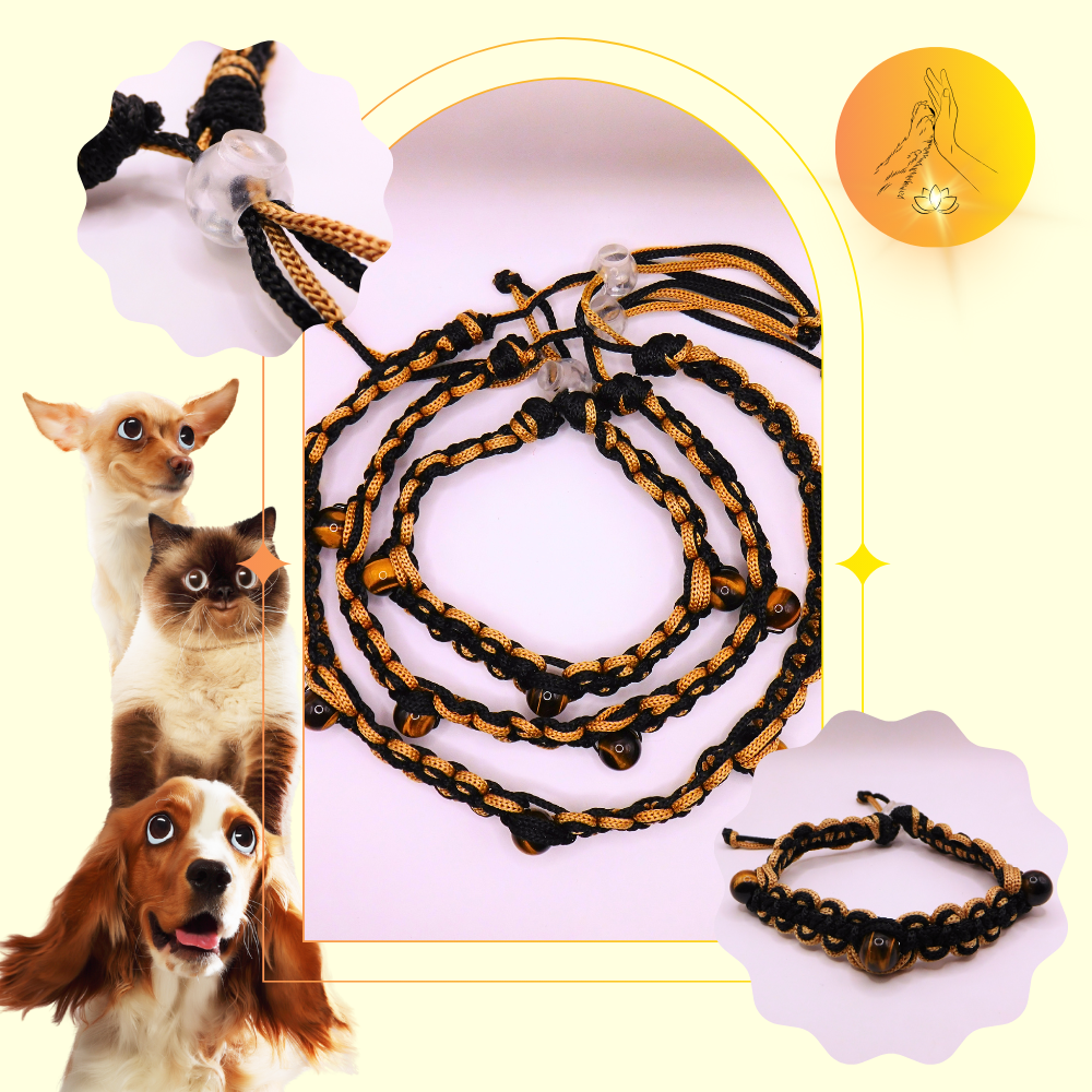 Colliers thérapeutiques - Oeil de tigre - Spirales