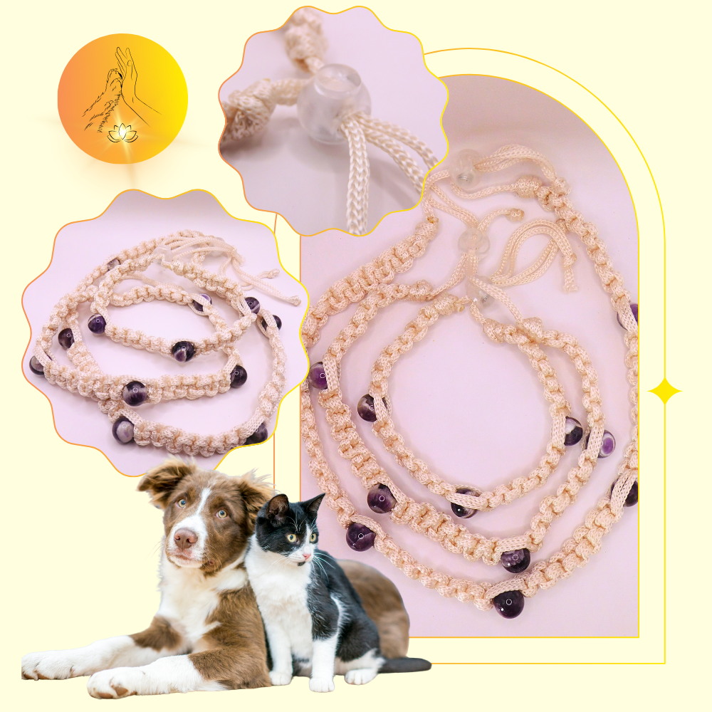 Colliers thérapeutiques - Améthyste chevron - Standard