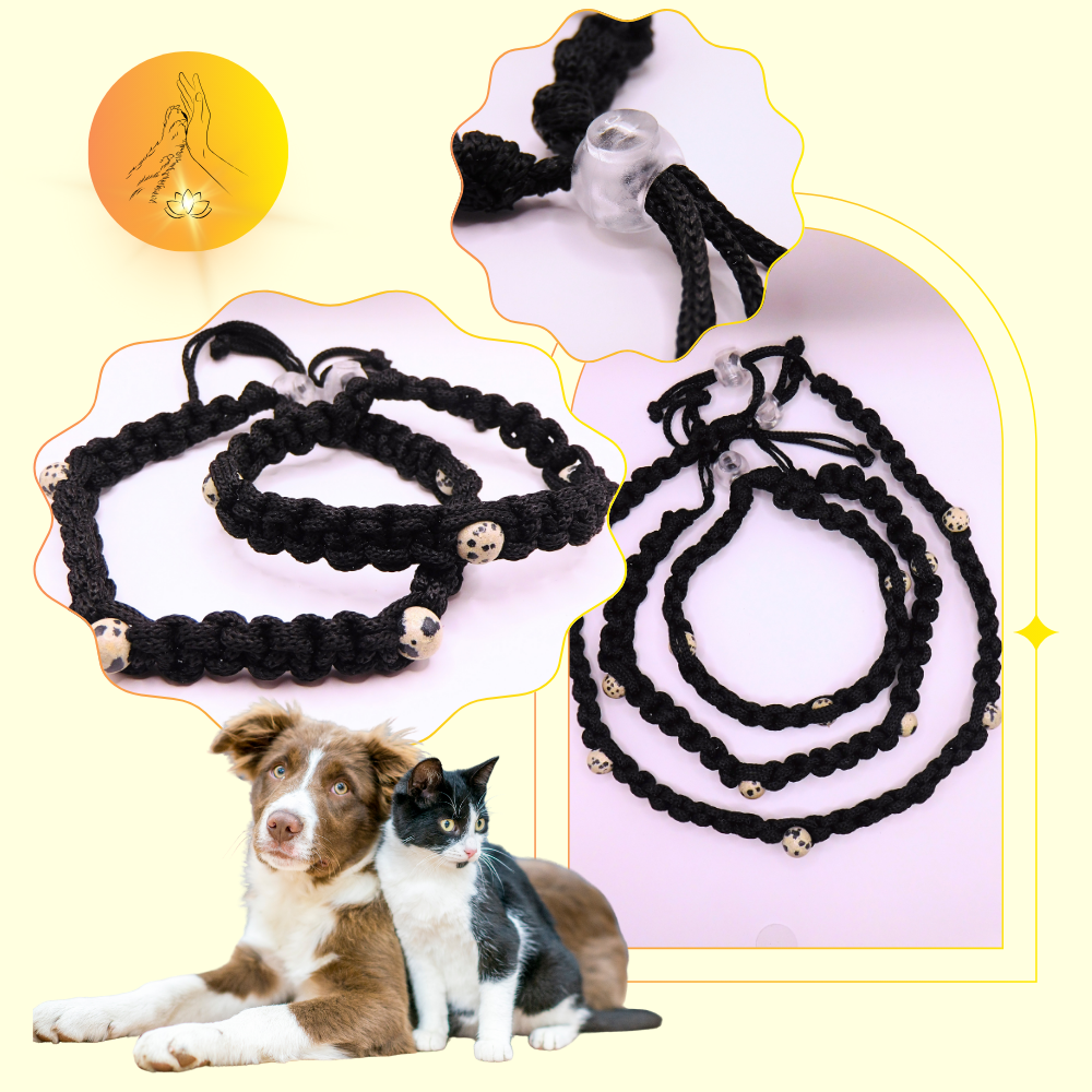 Colliers thérapeutiques - Jaspe dalmatien - Standard