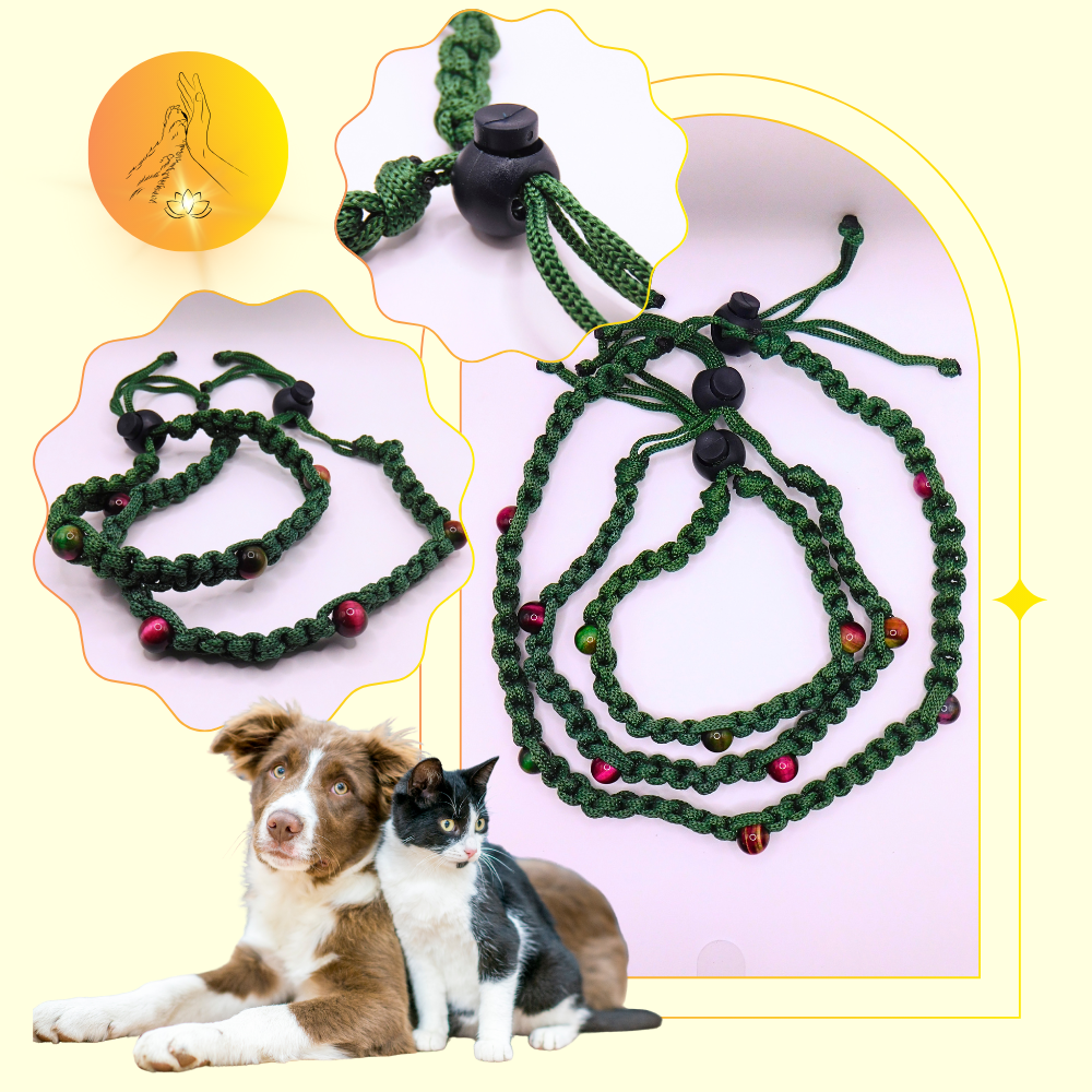 Colliers thérapeutiques - Oeil de tigre rose/vert - Standard