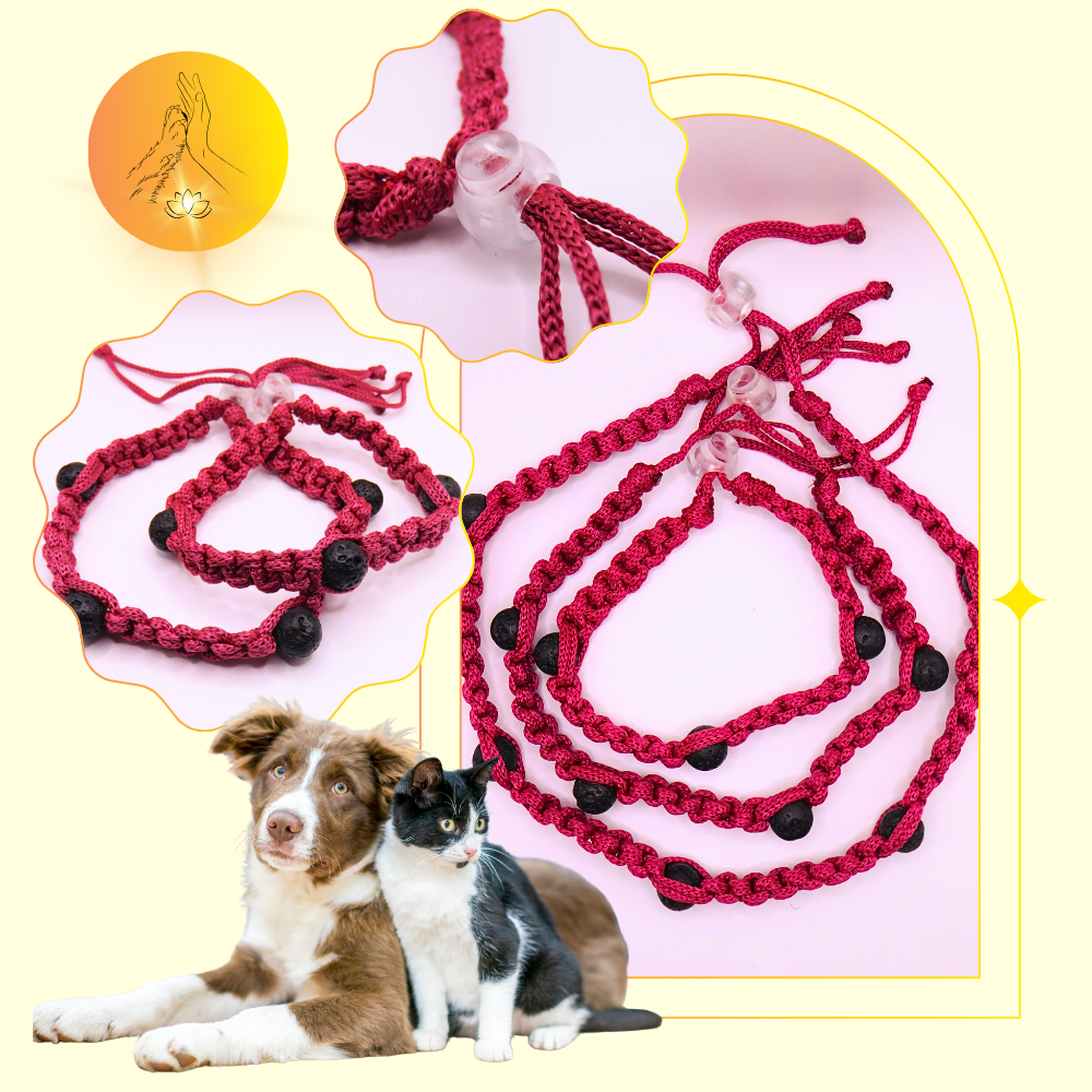 Colliers thérapeutiques - Pierre de lave - Standard