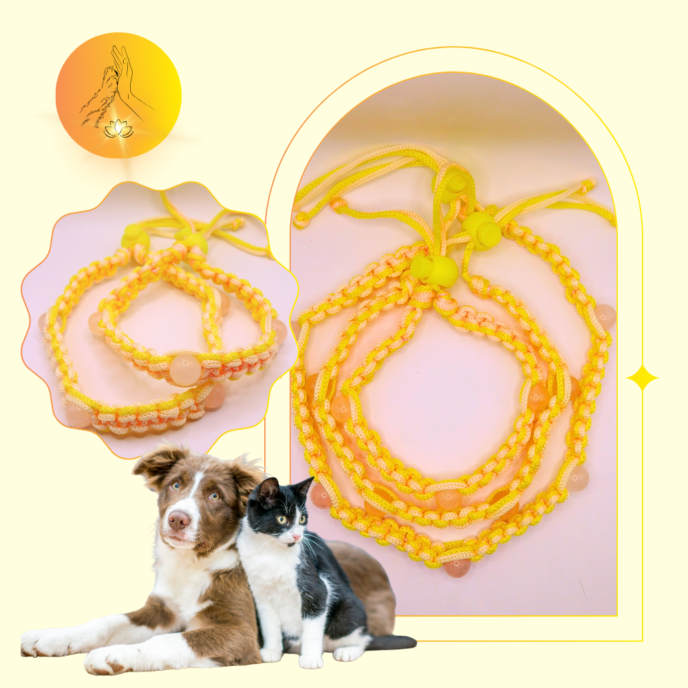 Colliers thérapeutiques - Quartz rose - Standard